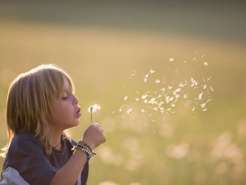 yetiskini-elinden-tutar-ve-terapiye-getirir